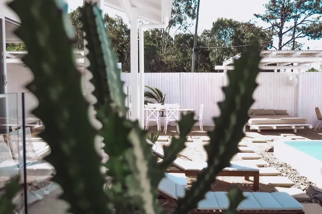 Holiday home Whitcactus Villa Airlie Beach